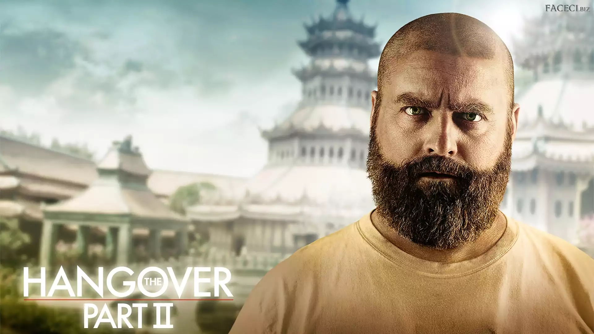 Zach Galifianakis, Kac Vegas 2, Alan